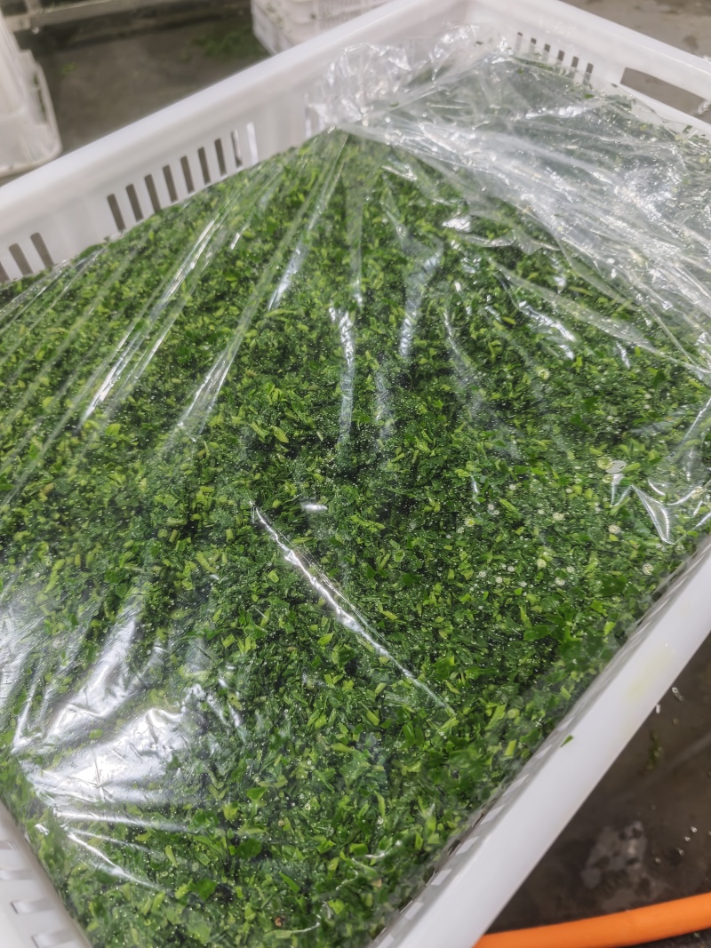山苜楂各类冻品