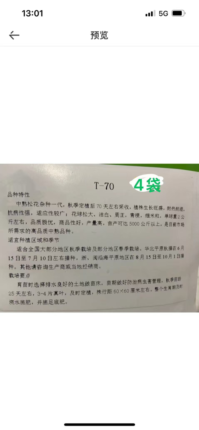耐热松花菜种子青玉等品种