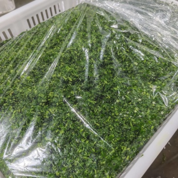 山苜楂各类冻品