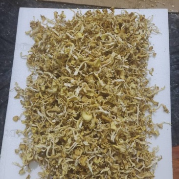 干品榆黄菇直供，天然无污染，口感鲜美，营养丰富，健康之选
