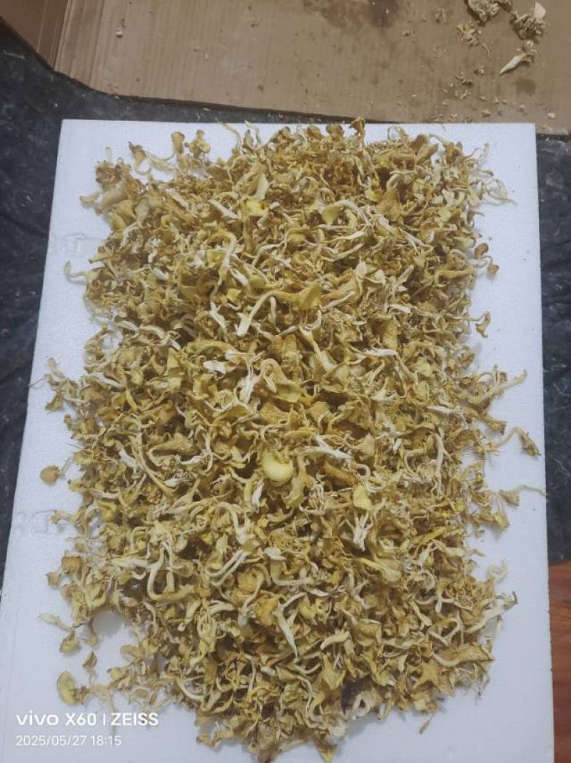 干品榆黄菇直供，天然无污染，口感鲜美，营养丰富，健康之选