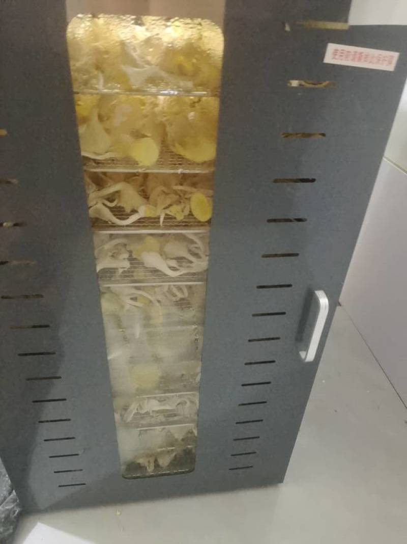 干品榆黄菇直供，天然无污染，口感鲜美，营养丰富，健康之选