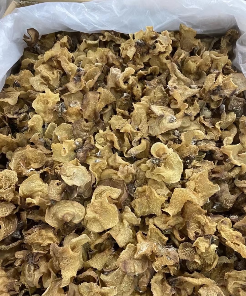 食用菌干货