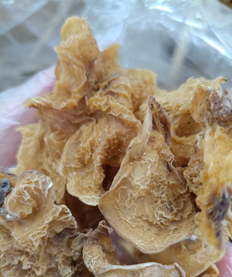 食用菌干货