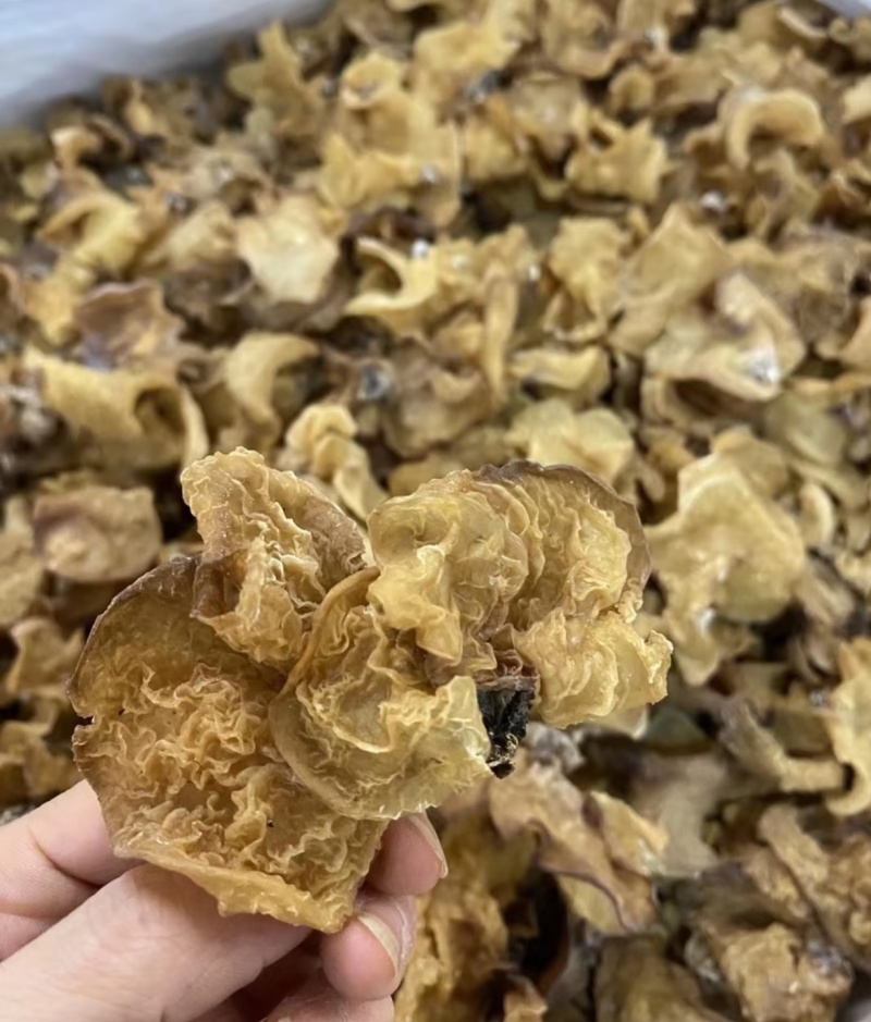 食用菌干货