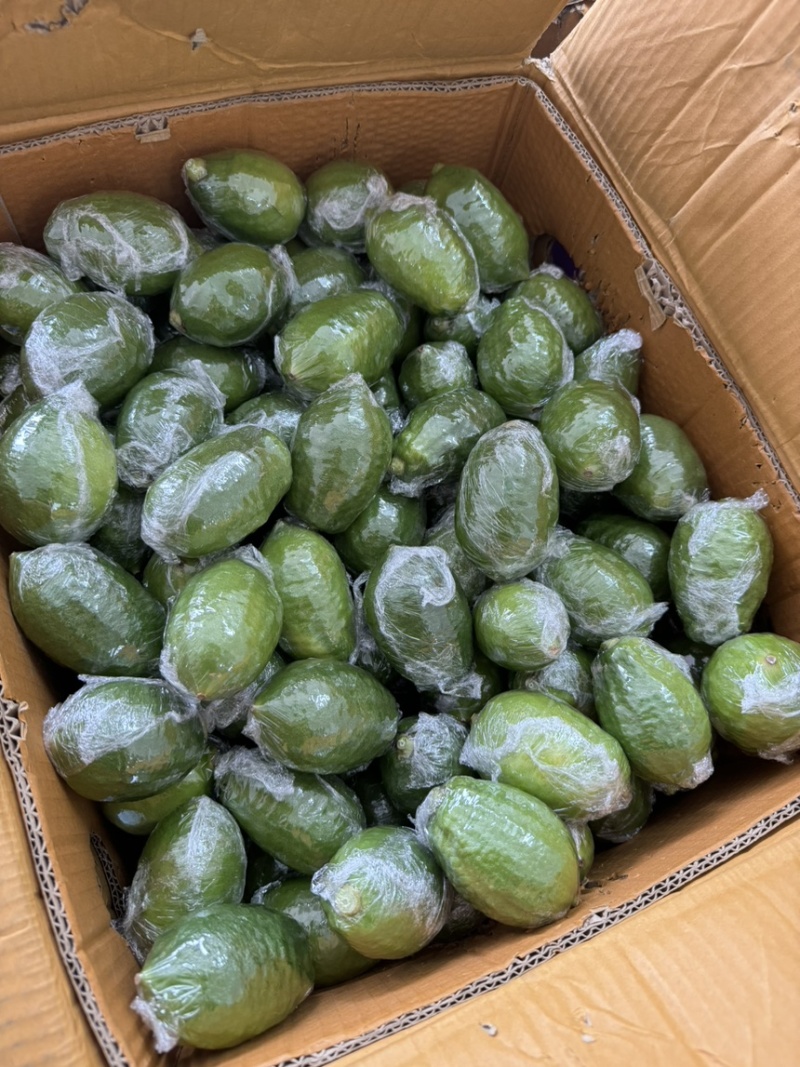 广东香水柠檬一级果
