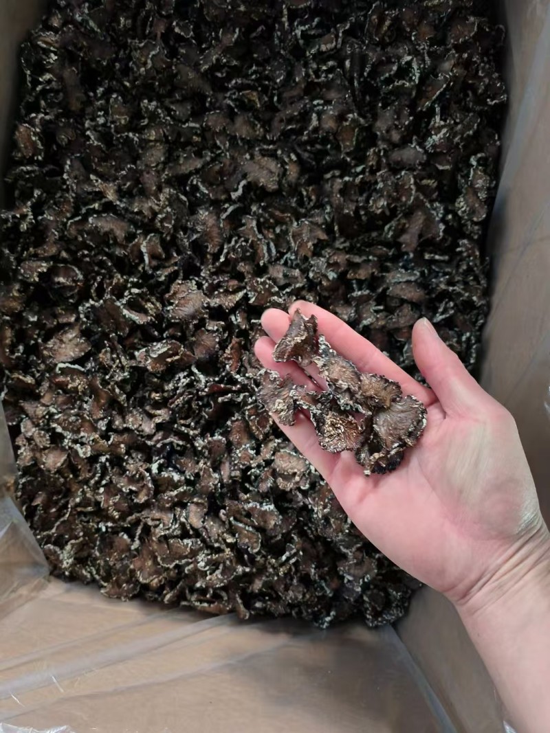 猴脑菌切片/核桃菌切片/精品大货，各种规格