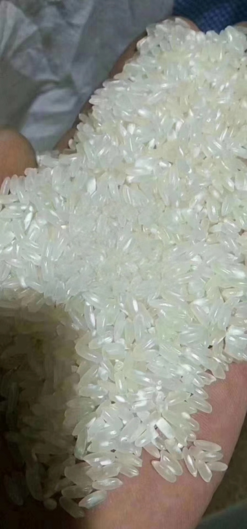 稻花香，产地直发，品质保证，价格优惠，实力商家