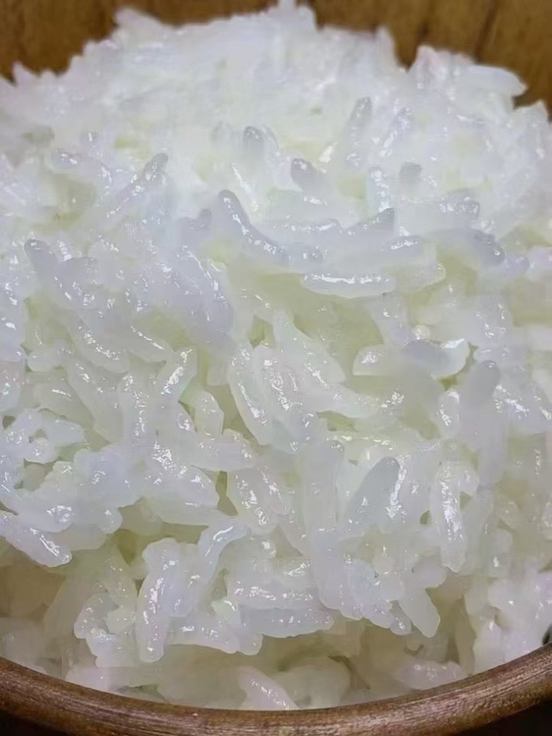 稻花香，产地直发，品质保证，价格优惠，实力商家