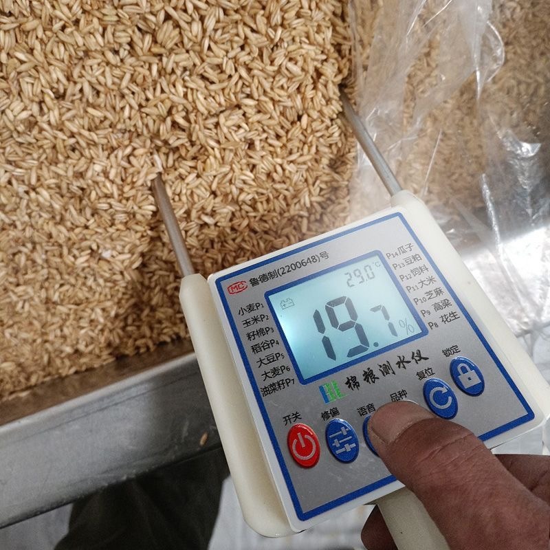 粮食水分测量仪高精度玉米草包测水仪谷物秸秆草块水份