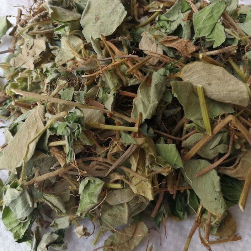 中药材野生金钱草广金钱草干货中草药广西正品新货泡水大叶