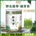 2025酸枣叶茶泰山野生酸枣芽茶新茶正宗舒缓睡眠|嫩芽品质
