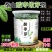 2025酸枣叶茶泰山野生酸枣芽茶新茶正宗舒缓睡眠|嫩芽品质