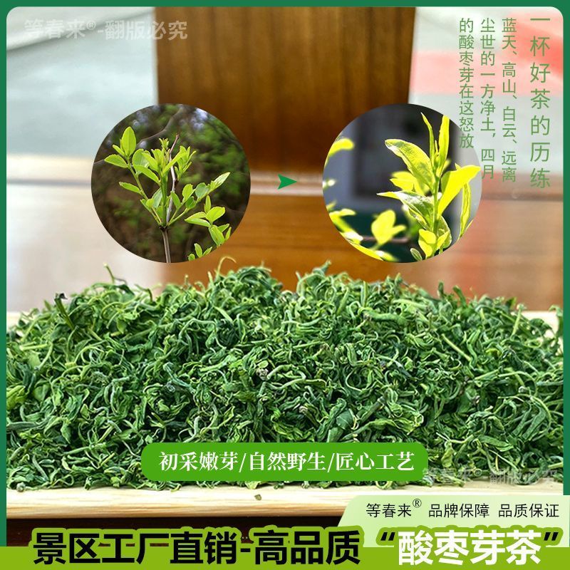 2025酸枣叶茶泰山野生酸枣芽茶新茶正宗舒缓睡眠|嫩芽品质
