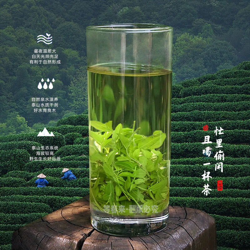 2025酸枣叶茶泰山野生酸枣芽茶新茶正宗舒缓睡眠|嫩芽品质