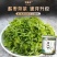 2025酸枣叶茶泰山野生酸枣芽茶新茶正宗舒缓睡眠|嫩芽品质