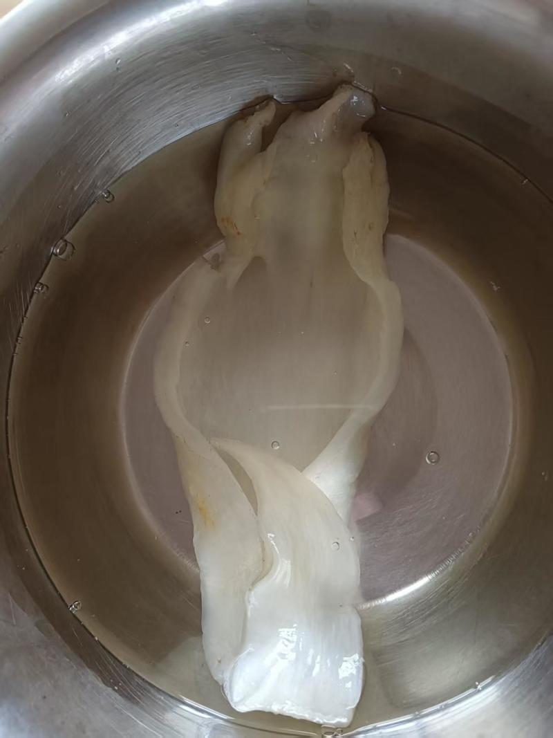 北海胶北海筒胶鱼胶花胶鳘鱼胶产地源头直供一手代理货源