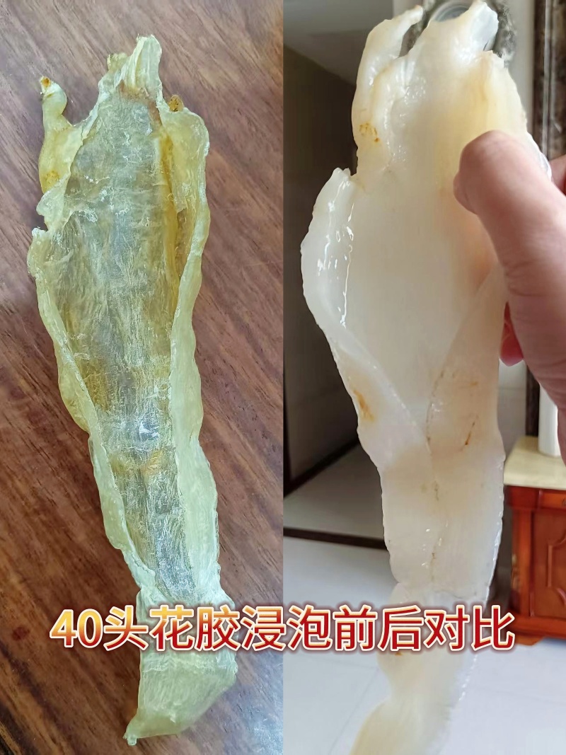 北海胶北海筒胶鱼胶花胶鳘鱼胶产地源头直供一手代理货源