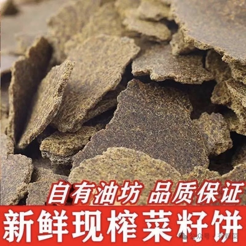 菜籽饼，青饼，黄饼