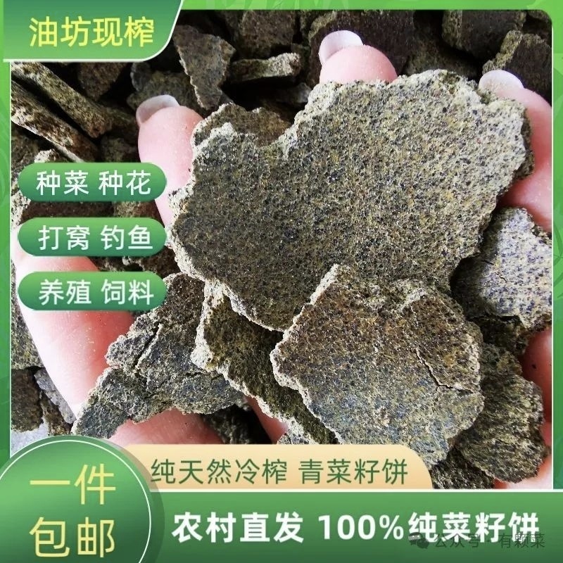 菜籽饼，青饼，黄饼