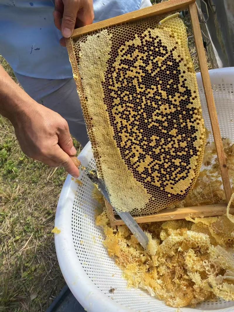 龙眼蜜，蜂蜜包邮一件代发全国支持视频看货欢迎来电