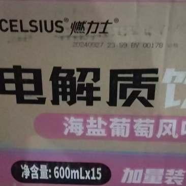 燃力士