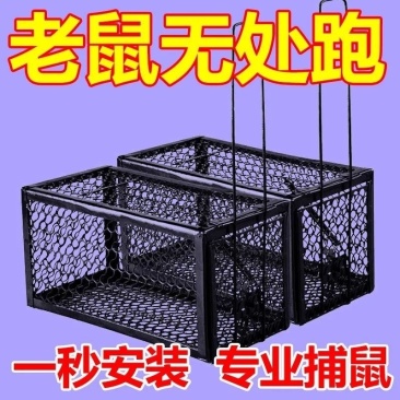 老鼠笼子