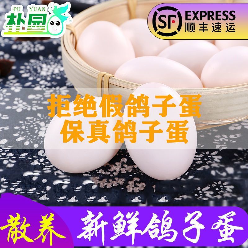 顺丰包邮朴园新鲜大个优质鸽子蛋土鸽蛋15-60枚散养鸽蛋礼盒