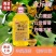 各种果酒，多种口味，大量现货需要的老板抓紧联系