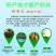 精品山茶油货源充足大优质量保证诚心经营欢迎咨询