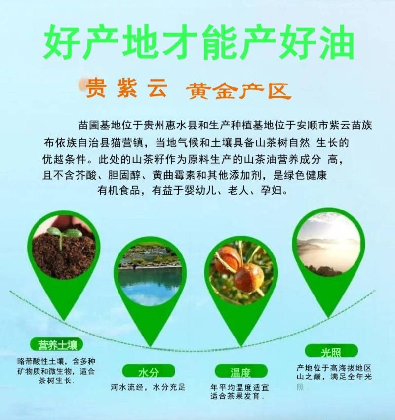 精品山茶油货源充足大优质量保证诚心经营欢迎咨询