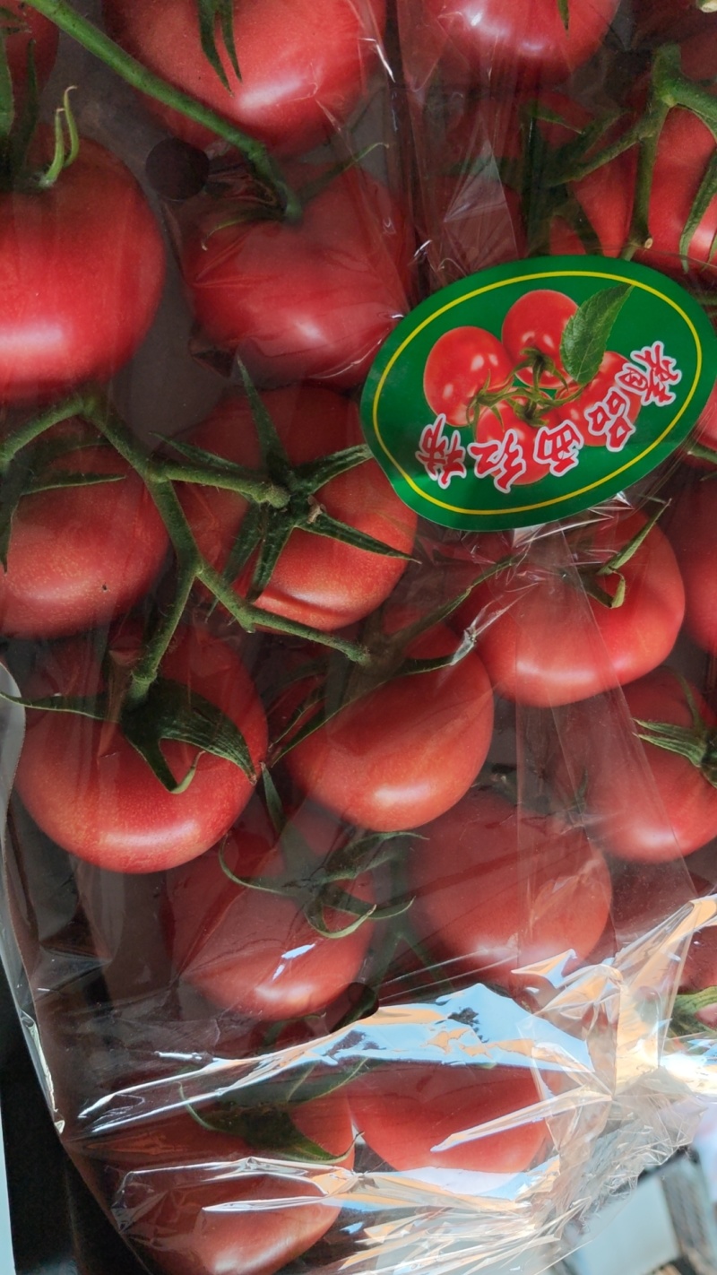 西红柿串果，货量大