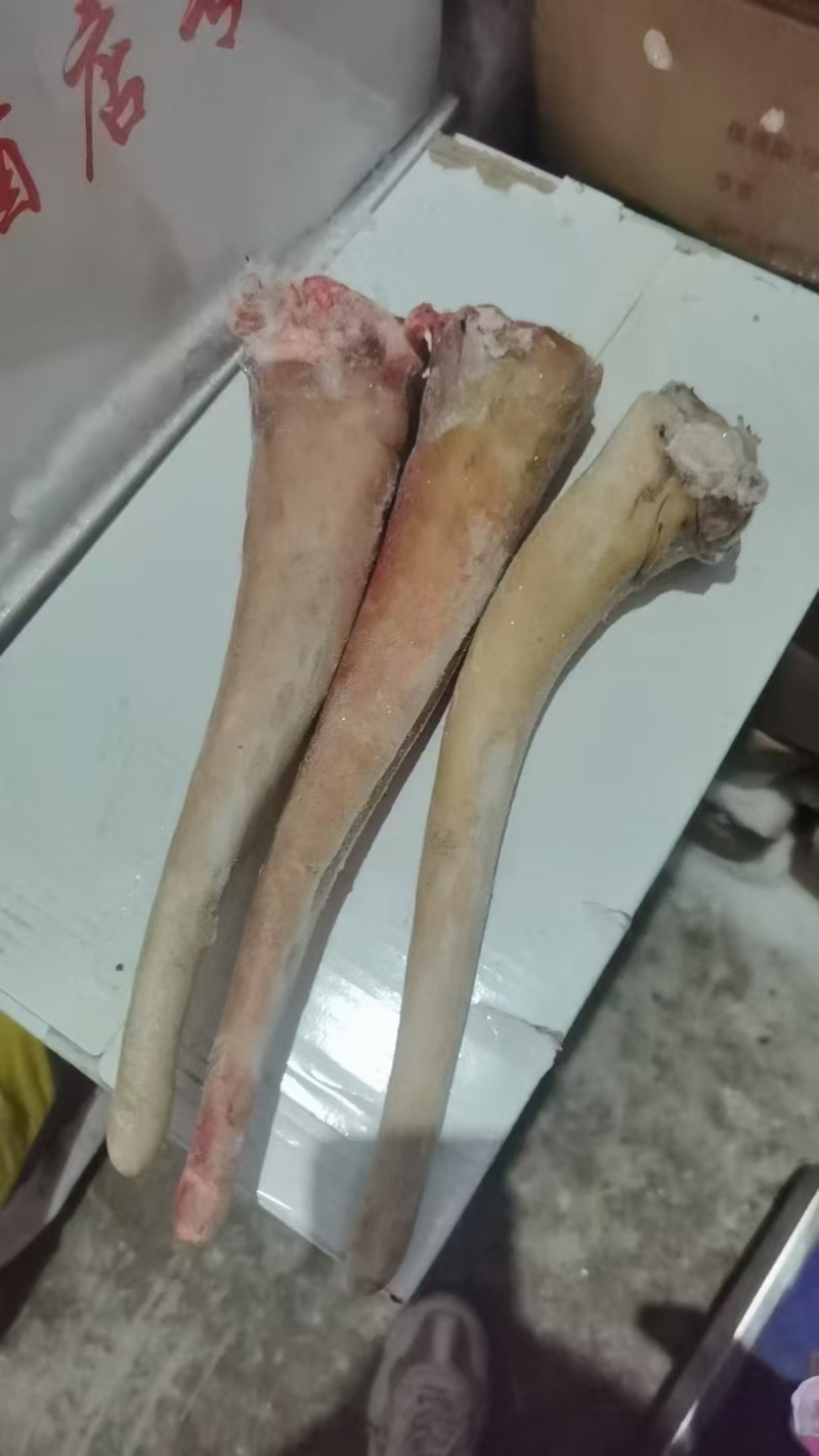 带皮马尾巴货源充足保质保量产地直发对接全国客商