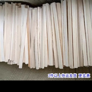 枝条菌种专用枝条