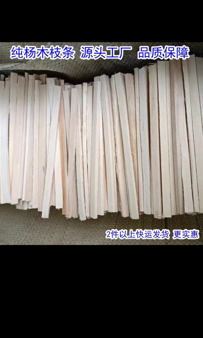 枝条菌种专用枝条