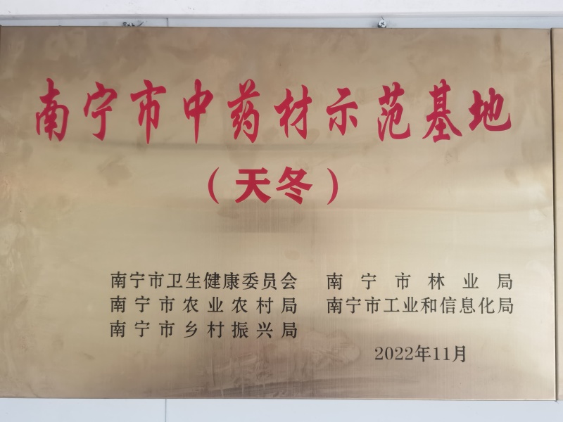 广西良种天冬直供可视频现挖高产量成活率高薯仔多有塑源基地