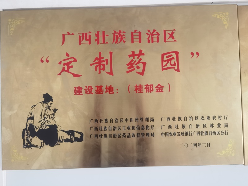 广西中药材示范育苗基地良种大天冬种子种苗正品全程技术指导