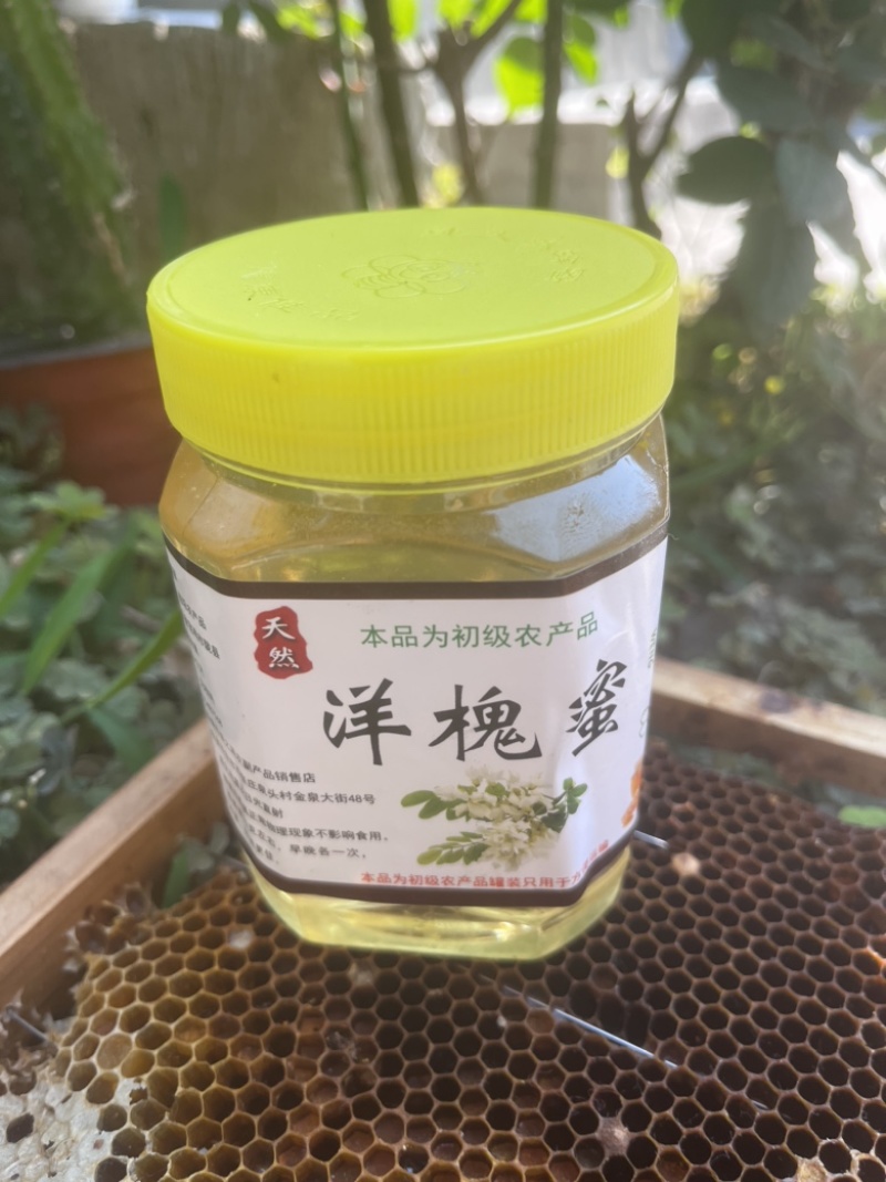 洋槐蜂蜜***洋槐蜜正宗蜂蜜秦岭深山蜂蜜