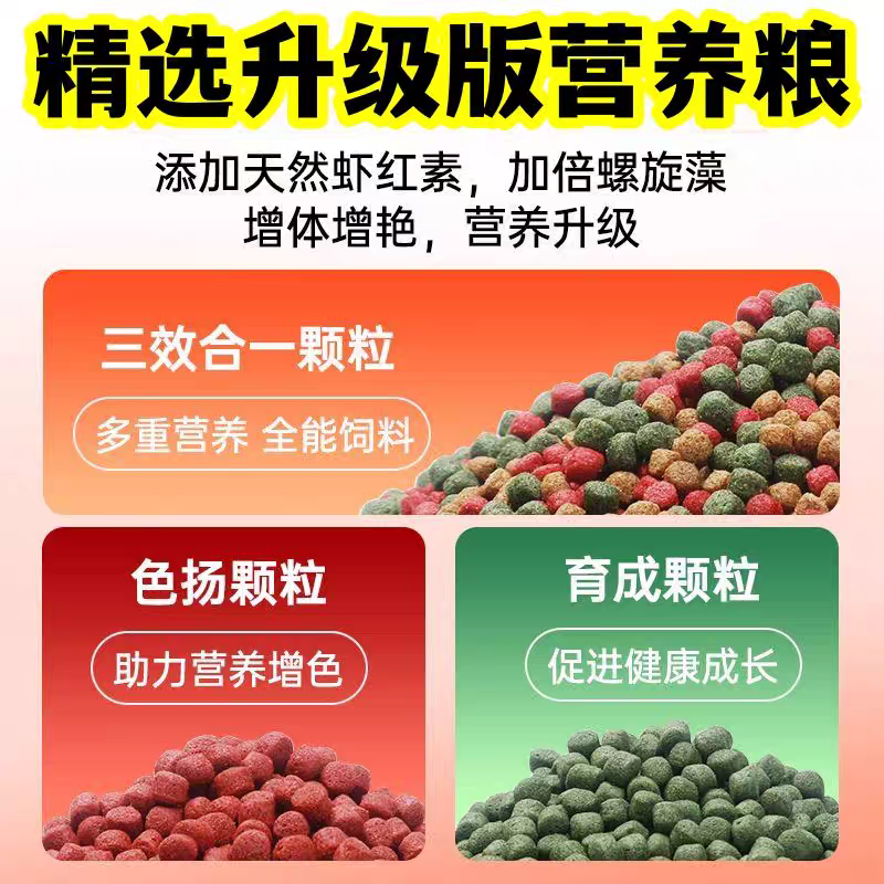 包邮）锦鲤饲料金鱼专用家用鱼料通用鱼食观赏鱼孔雀鱼粮鹦鹉