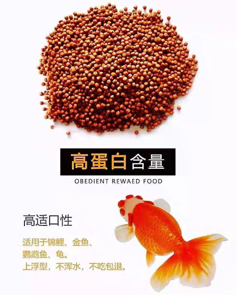 包邮）锦鲤饲料金鱼专用家用鱼料通用鱼食观赏鱼孔雀鱼粮鹦鹉