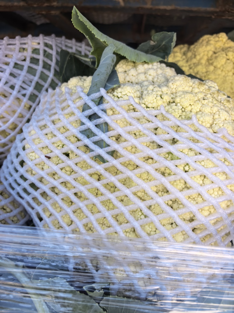 精品菜花，
