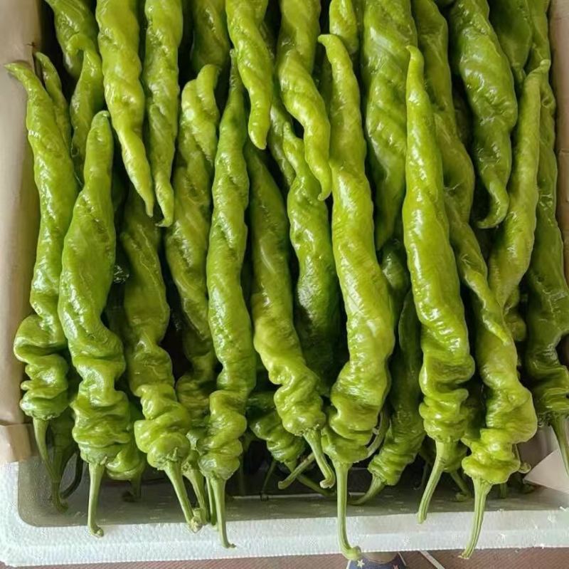 精品螺丝椒