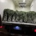 自家种植的20亩艾草批发，价格优惠2元斤干货，量大从优
