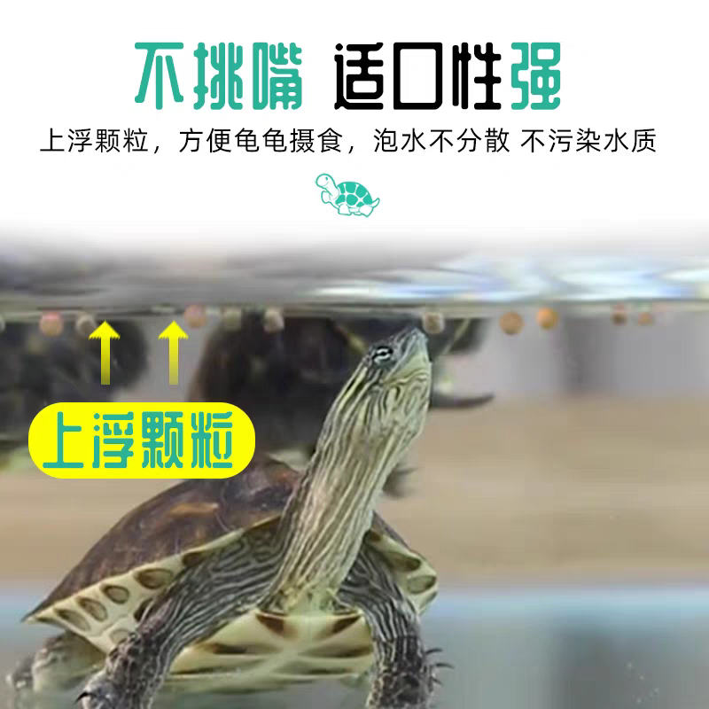 包邮龟粮石金钱乌龟饲料鳄龟粮巴西龟料甲鱼饲料水陆幼龟草龟
