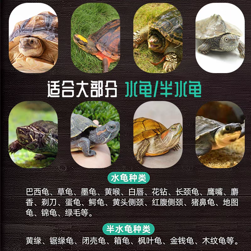 包邮龟粮石金钱乌龟饲料鳄龟粮巴西龟料甲鱼饲料水陆幼龟草龟