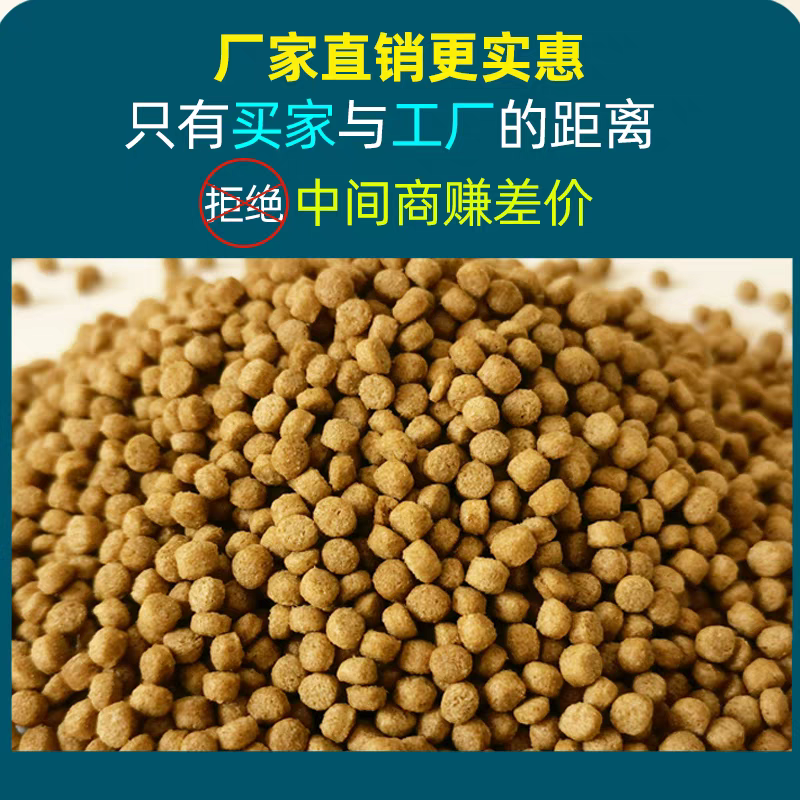 包邮龟粮石金钱乌龟饲料鳄龟粮巴西龟料甲鱼饲料水陆幼龟草龟