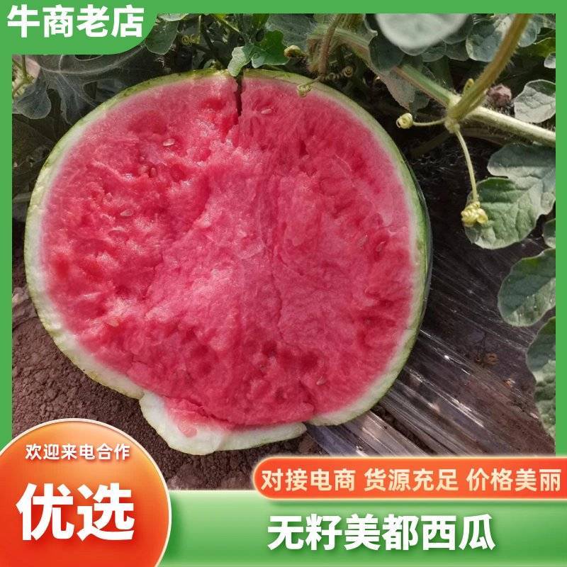 《无籽美都》麒麟西瓜/8424/江苏西瓜/质量三包