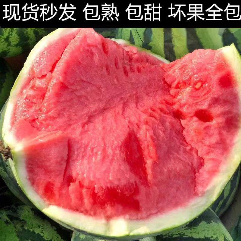 《无籽美都》麒麟西瓜/8424/江苏西瓜/质量三包