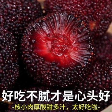 【优质推荐】杨梅大量上市产地直发价格美丽量大从优