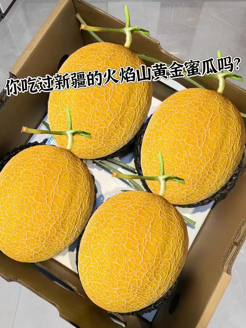 【推荐】精品哈密瓜金色年华货源充足量大从优质量保证